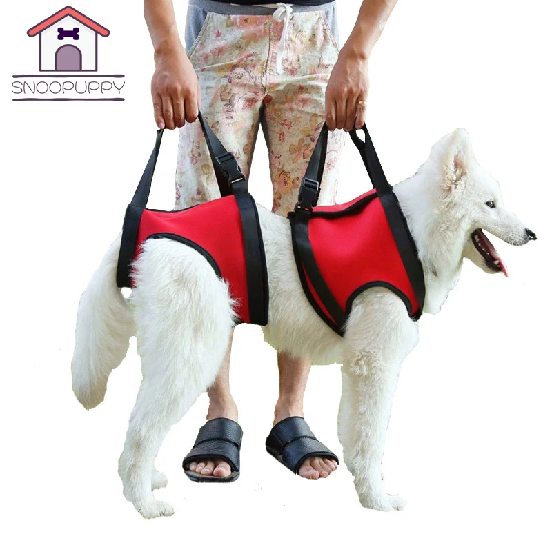 

Pet Dog Vest Harnesses Front And Back Legs Harness For Pet Outdoor Walking Adjustable Basic Harness For Small Large Dogs PY0015