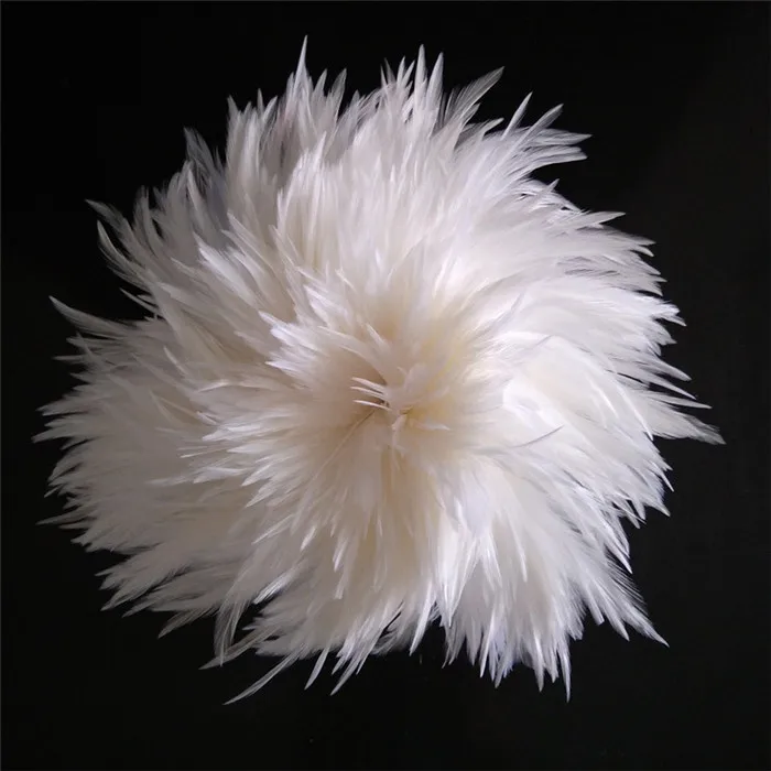 white rooster feathers (2)