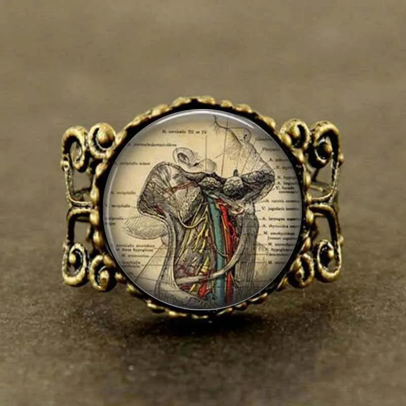 Human Anatomy Throat anatomy gothic doctor Ring jewelry science student