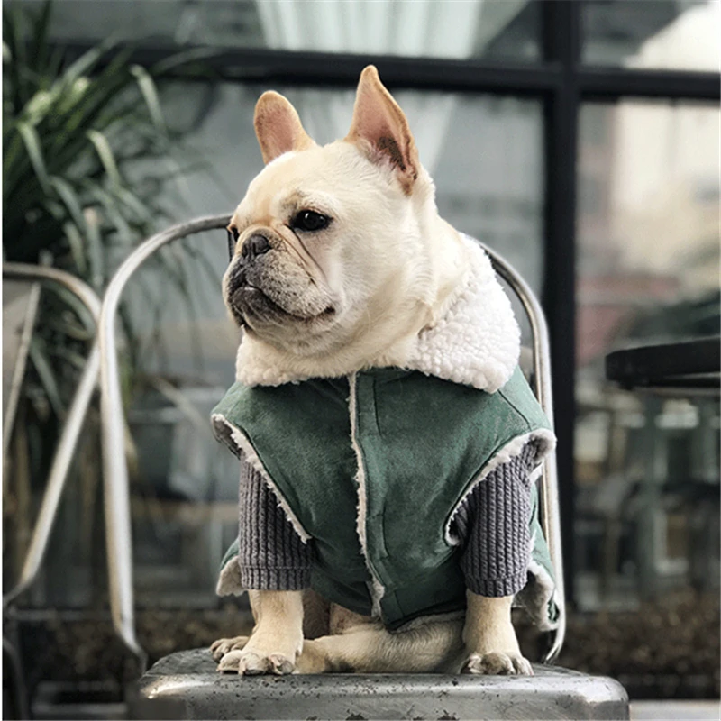 dog clothes coat winter (3)