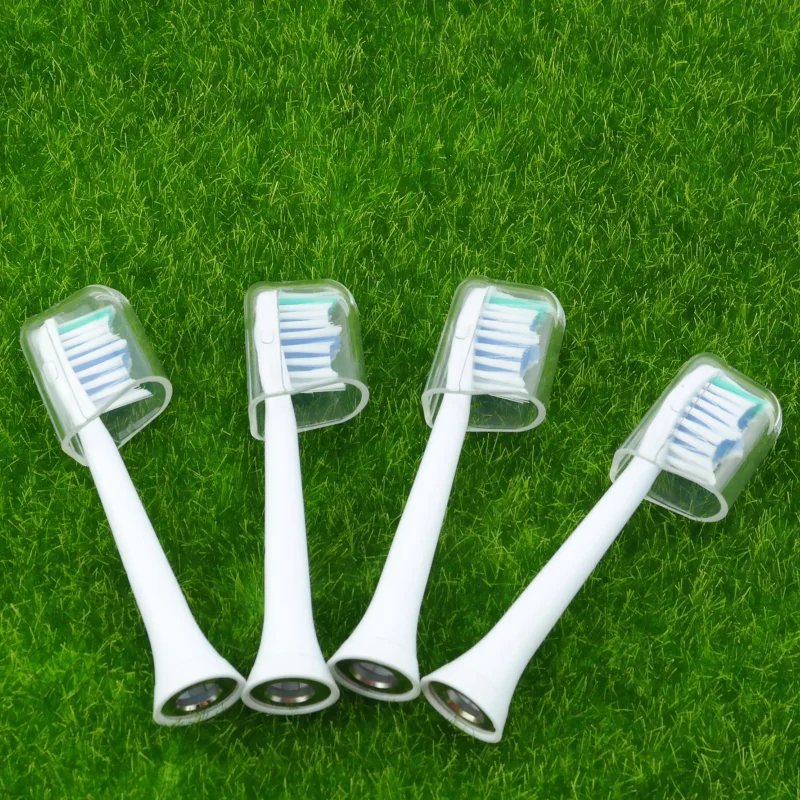 toothbrush head 6
