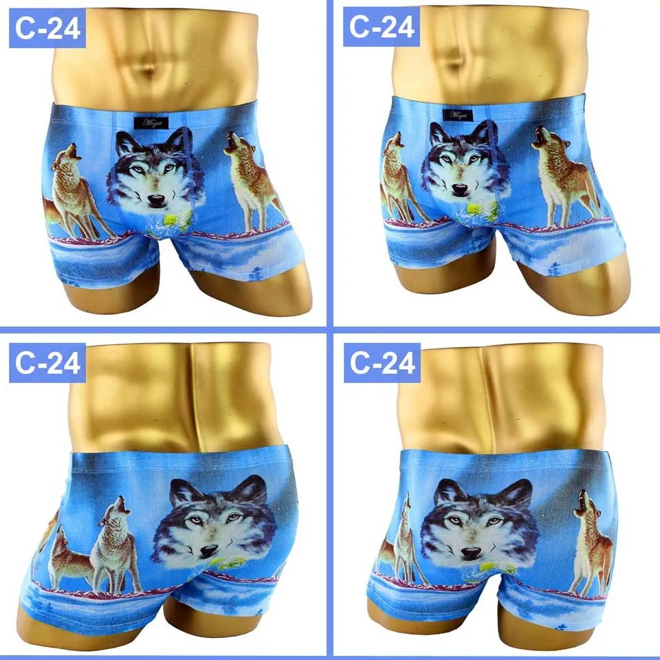 C24