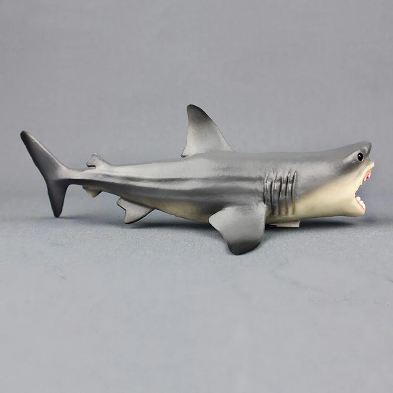 

Arrival Hot Sale Megalodon Prehistoric Shark Ocean Education Animal Figure Model Kids Toy Best Christmas Birthday Gift