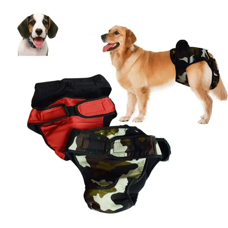 YCC70620555_20170620024555188