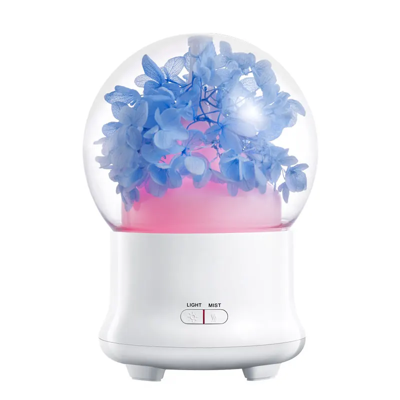 air humidifier (11)