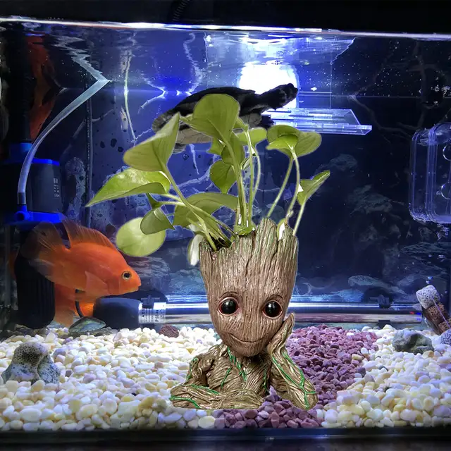 88 Koleksi Design For Aquarium Gratis Terbaru