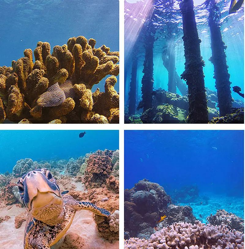 Waterproof Camera Housing Case 30 Meters Underwater Protector Case for Gopro Hero 4 Hero 3+ Go Pro 4 3+ Camera Accessories (12)