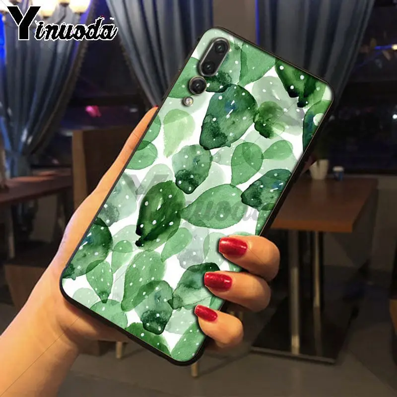 green cactus plant