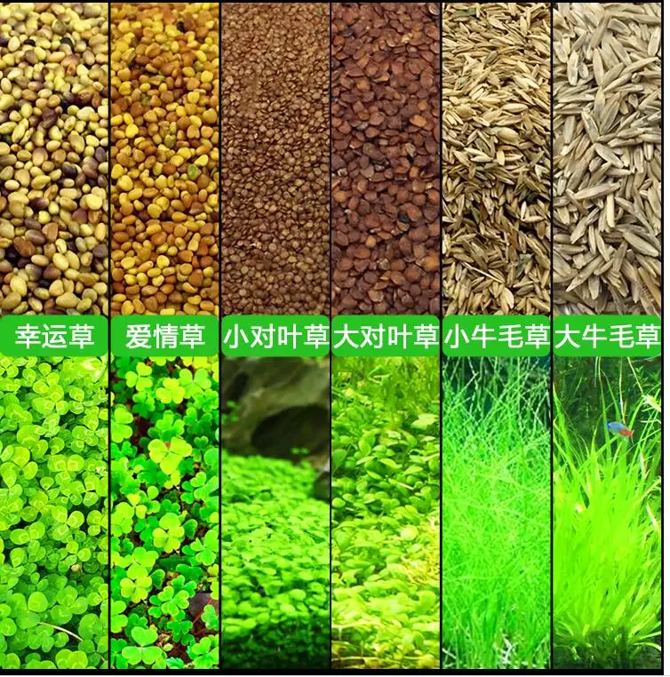 QQ20180827145449