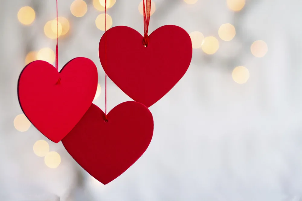 valentine s day theme vinyl photography backdrops props photography