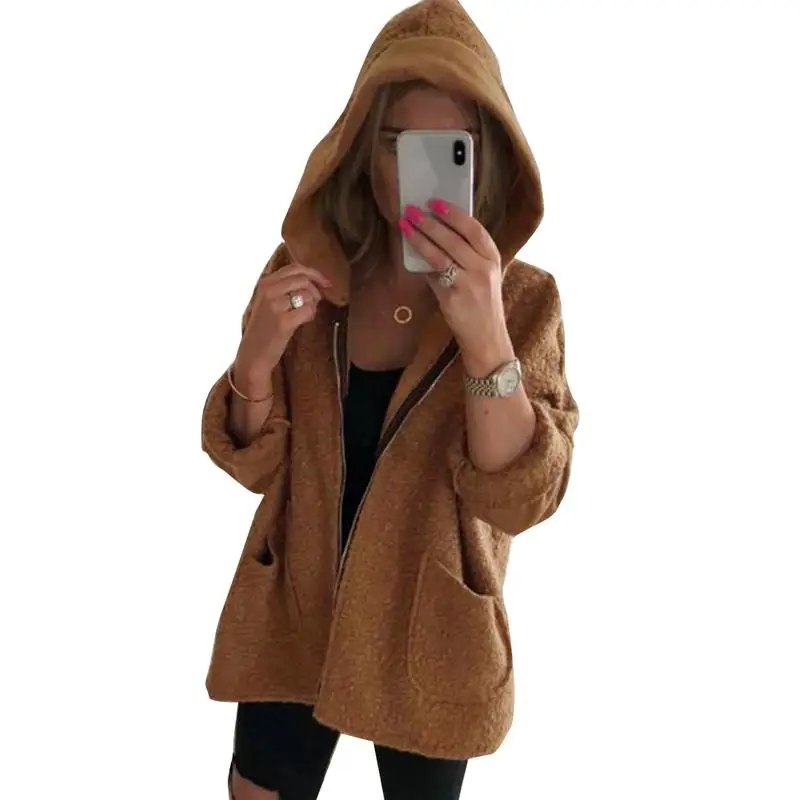 Plush Coat Jacket Women 2018 Autumn Winter Warm Soft