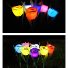 Солнечный тюльпан сад Пейзаж свет открытый газон с сада