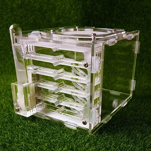 ant-nest (1)