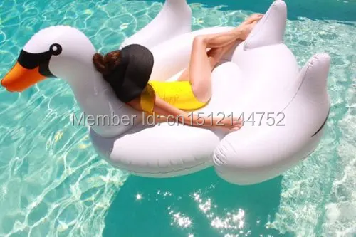 inflatable gaint swan flat (5)
