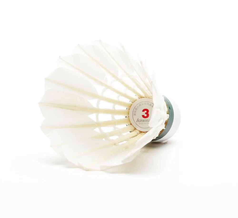 shuttlecock team 3 (4)