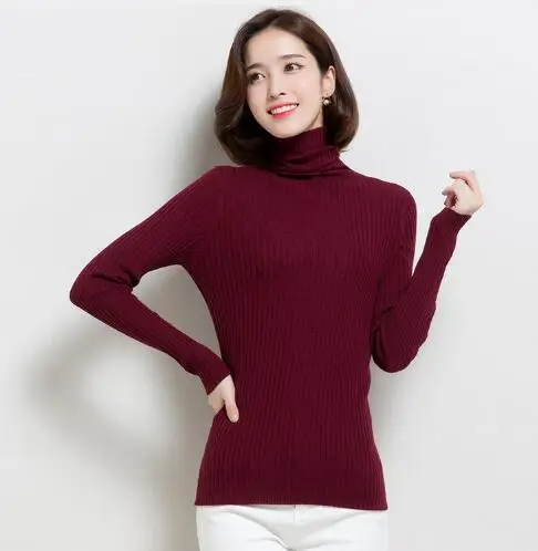 Women Sweater 2018 Fashion Slim Fit Women Sweater Female Outwear Turtleneck Warm Sweater Women Long Sleeve Solid Sweater FR1105
