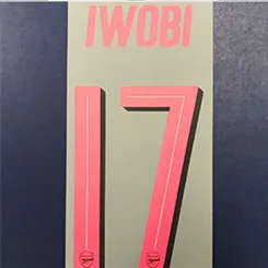 17 IWOBI  T