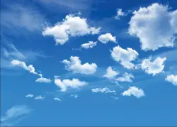 SHANNY Виниловый фон для фотосъемки на заказ небо и облако тема фото студия реквизит горизонтальный фон для фотосъемки 19301-42