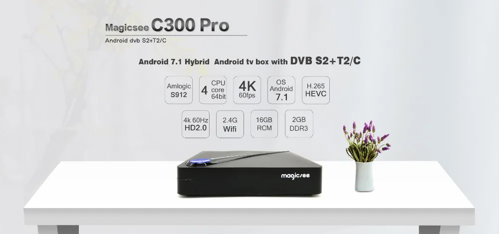 C300pro_01