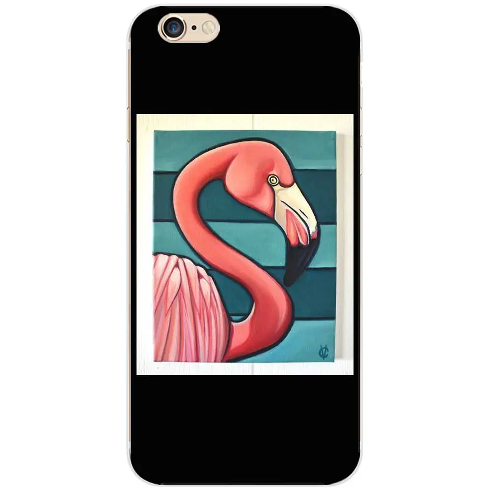 flamingos40