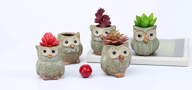 4350310688_107605335