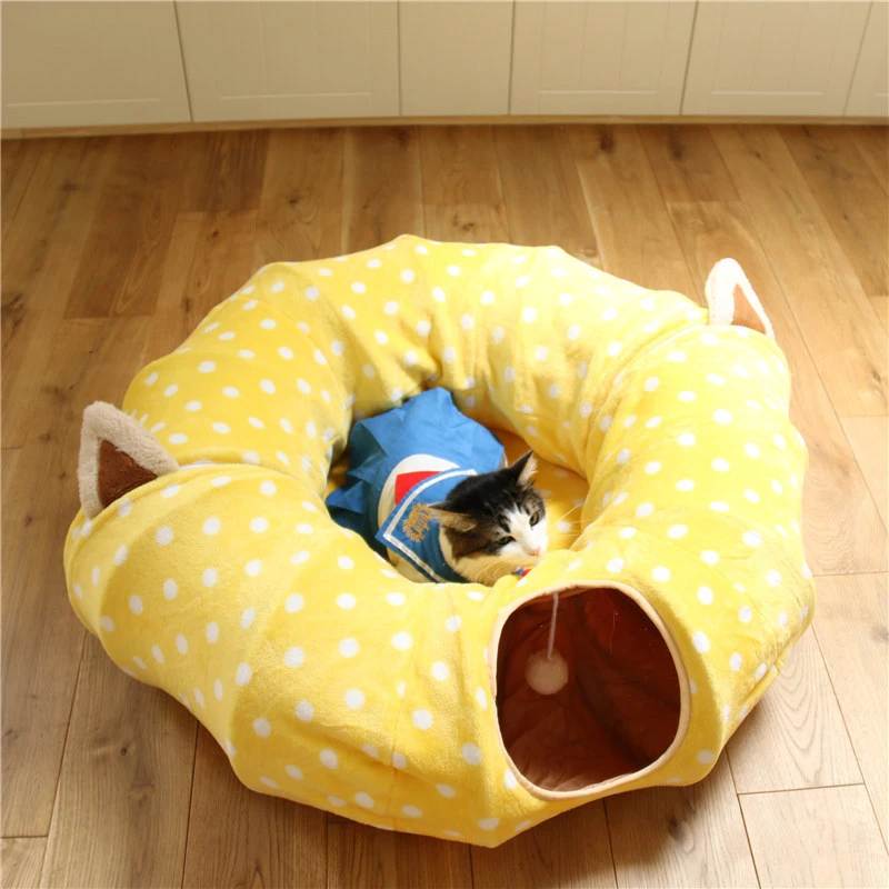 funny cat beds