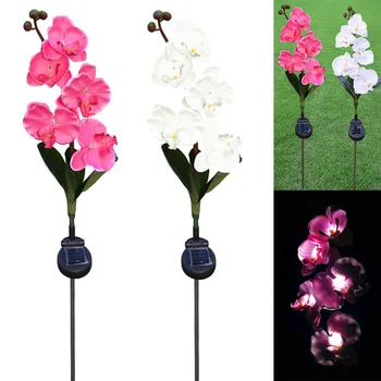 

5 Solar Butterfly Orchid Lantern LED Outdoor Simulation Garden Decoration Light QJS Shop
