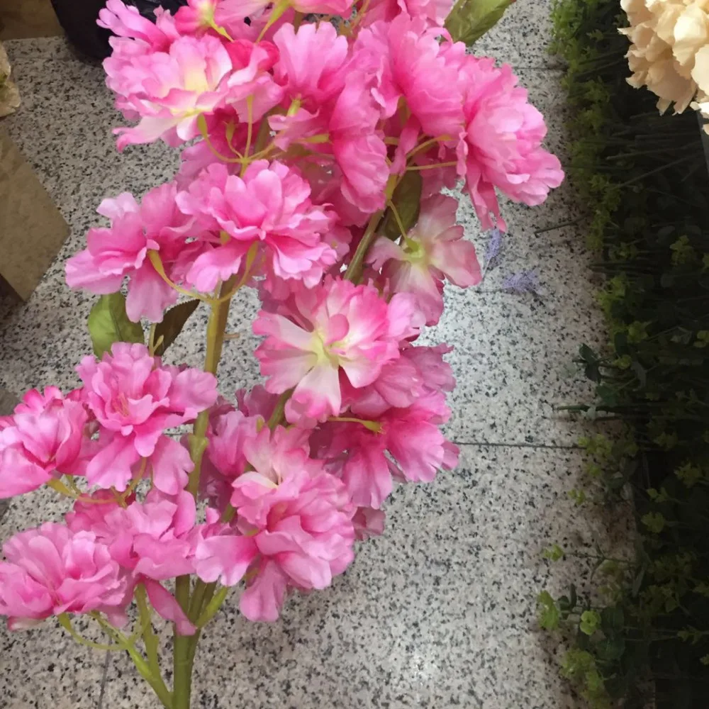 微信图片_20190622183803_副本