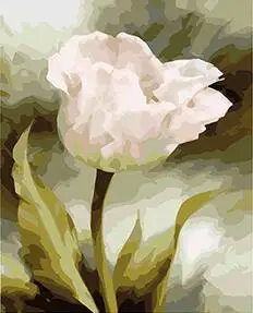 

MaHuaf-X1262 Tulip Flower For Charity painting by Numbers on canvas Hand-painted canvas oil paintings for Children Room