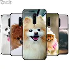 Phone Case for Oneplus 7 7 Pro 6 6T 5T Black Soft Case for Oneplus 7 7Pro Silicone TPU Cover Shell Pomeranian dogs