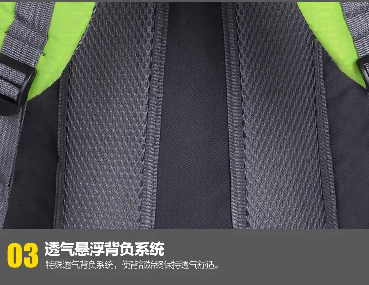 18 - 4460357114_11569364