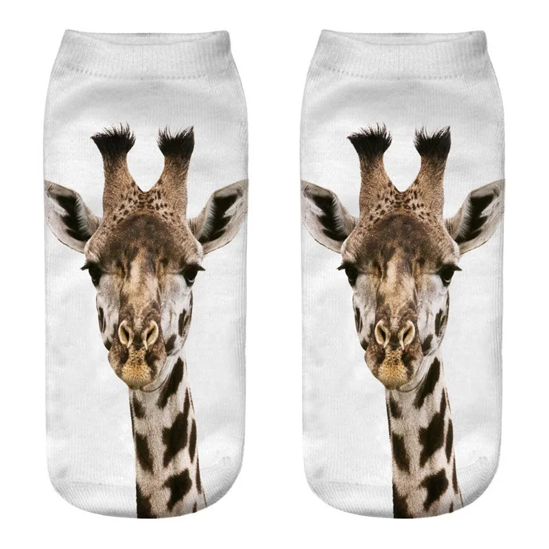 10364716609_520631427