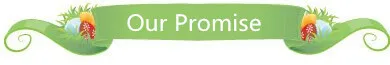 our promise