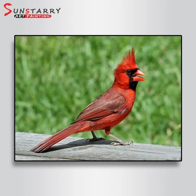 Full Drill Round Diamond 5D DIY Diamond Painting Curious Red Cardinal