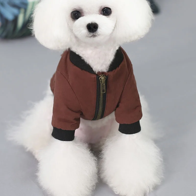 Красивое теплое пальто для собак на молнии, куртка на две ноги, Одежда для питомцев, осень и зима, однотонная куртка для питомцев