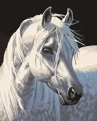DIY картина маслом по номерам абстрактный Животные Белая лошадь бескаркасных живопись на холсте украшения дома домашнего стены в детской