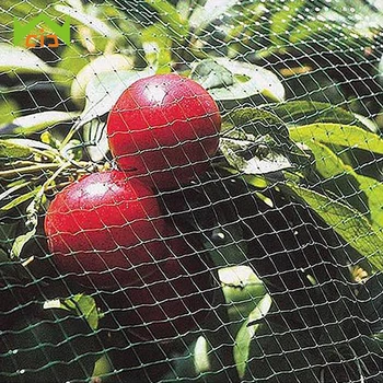 

WCIC Bird Net Garden Mesh Protect Gardening Fruit Tree Vegetable Protection Pest Control Nylon Anti Netting Pond Crops Trap