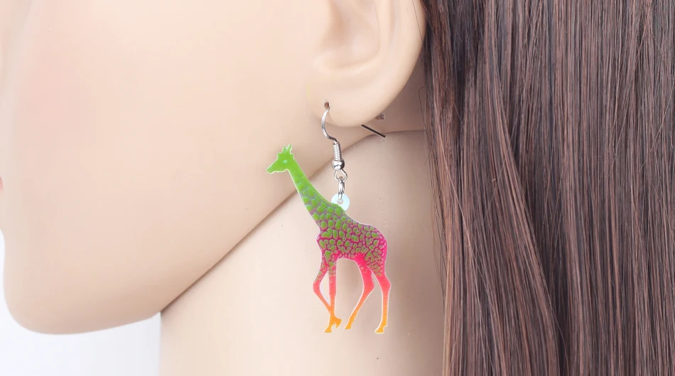 IMG_8667