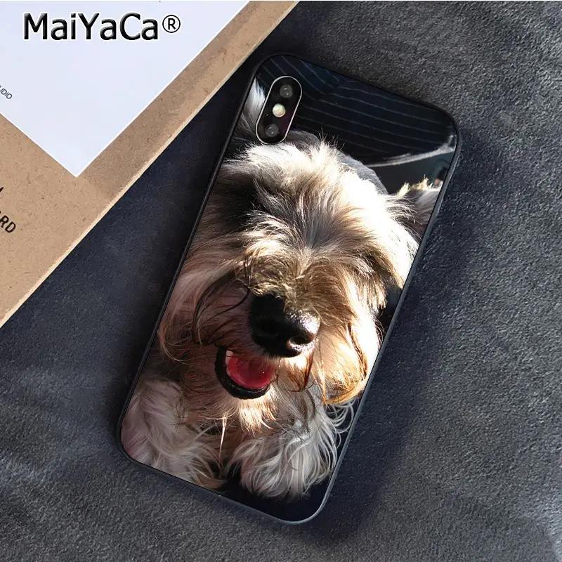 Lovely Dogs Schnauzer 