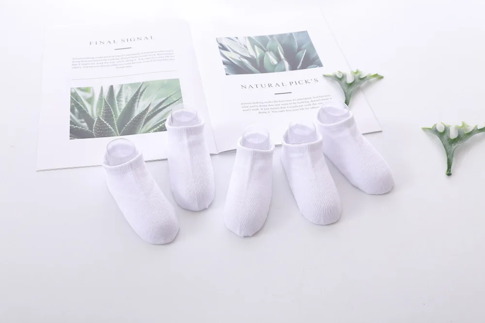 8587798831_1601964567