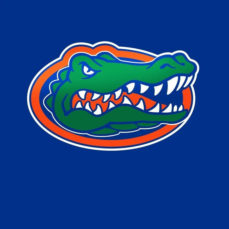 

Full Square Diamond 5D DIY florida gators Diamond Painting crocodile Cross Stitch Christmas Mosaic Painting Decor Gift
