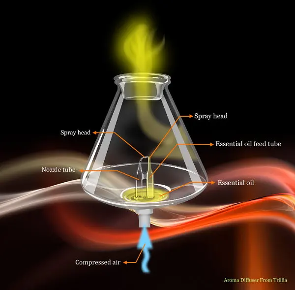 How-does-Nebulizer-diffuser-work