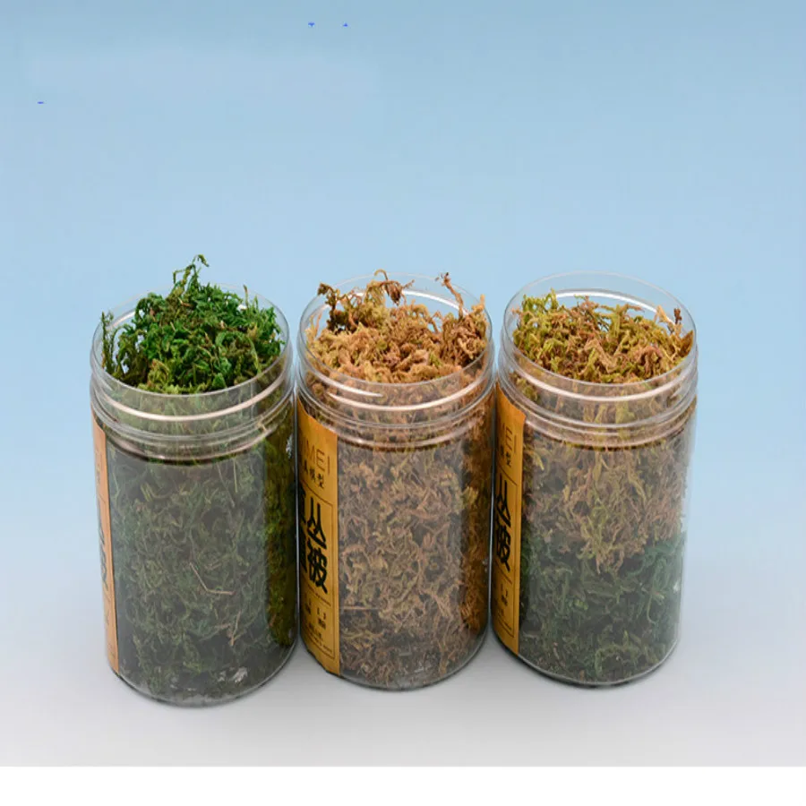 new grass model (15)