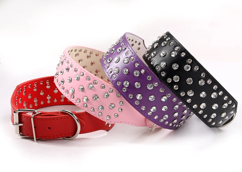 10 pet leash