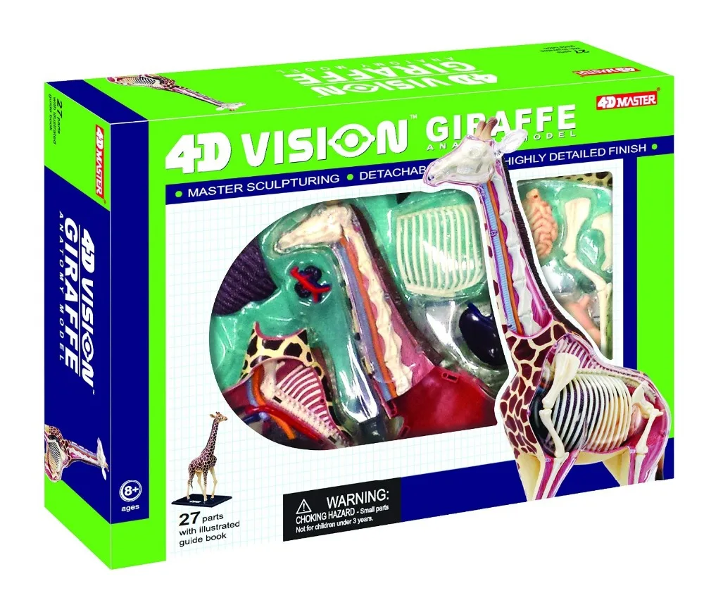 4d master. анатомическая модель 4d master стегозавр. анатомический набор. пазлы по анатомии. 4d master / пазл "анатомическая модель собаки".