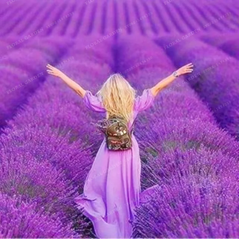 100-%D0%A4%D1%80%D0%B0%D0%BD%D1%86%D1%83