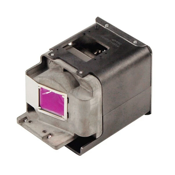 BL-FU310A-FX-PM484-2401-Replacement-lamp-With-Housing-for-OPTOMA-X501-W501-EH501-HD36-HD151X (1)