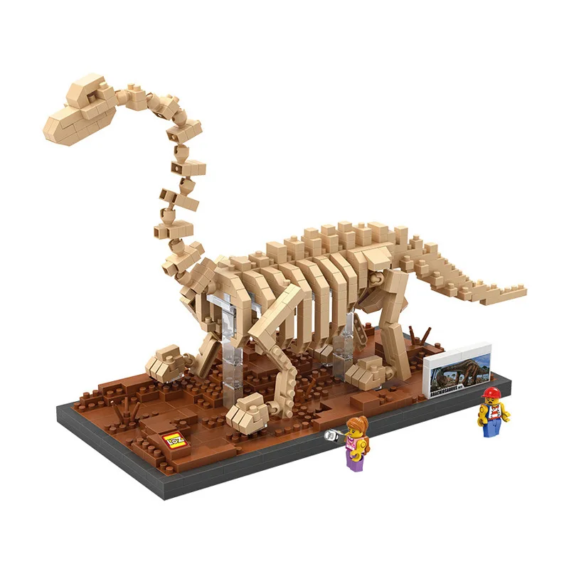 brachiosaurus skeleton model
