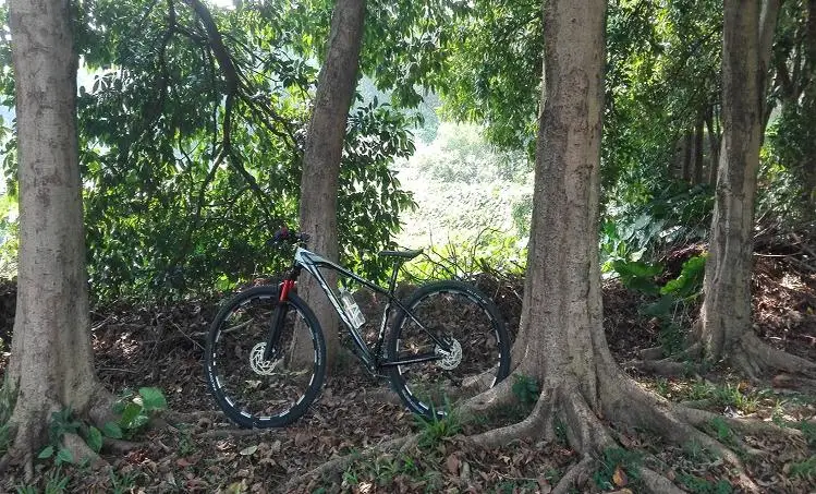 Perfect Kalosse 29er tyre dirt bike 19inch air fork Hydraulic brakes 29*19 inch bicicleta mountain bike 29er 24/27/30 speed 8 Perfect Kalosse 29er tyre dirt bike 19inch air fork Hydraulic brakes 29*19 inch bicicleta mountain bike 29er 24/27/30 speed 8