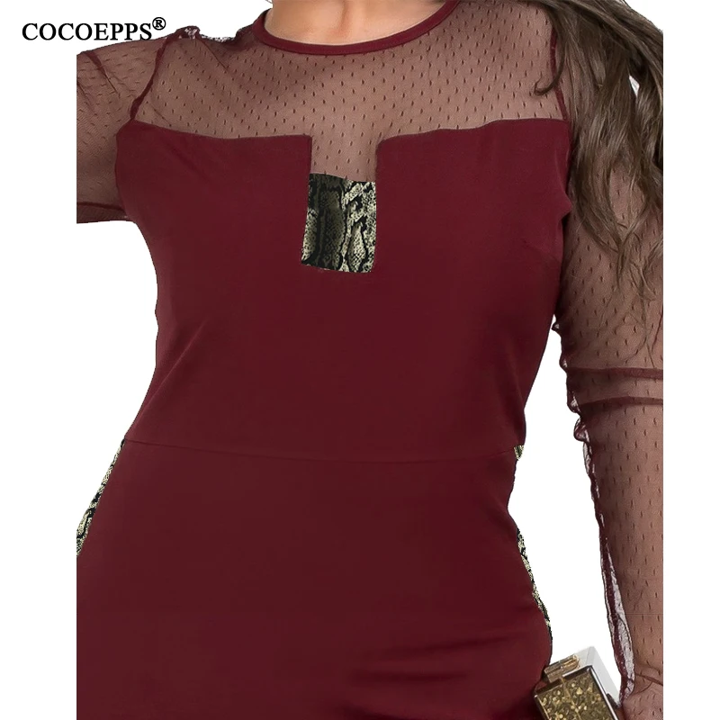 COCOEPPS  16